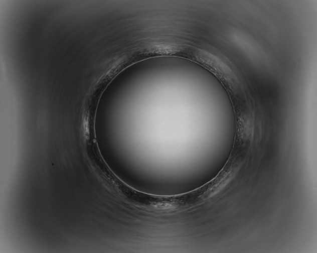 X0000097950358200803241158