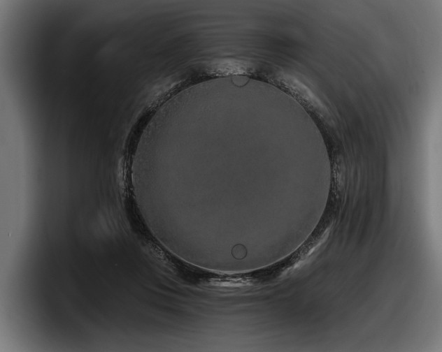 X0000097950359200803241158