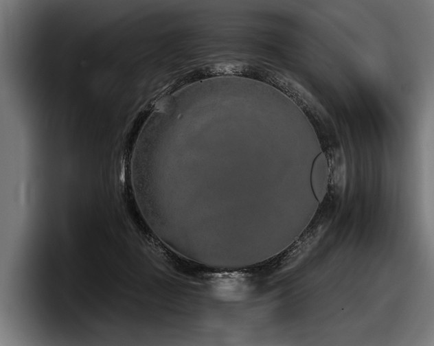 X0000097950363200803241158