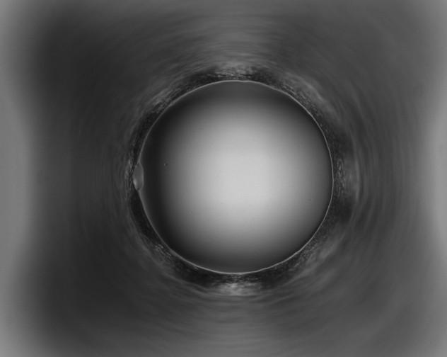 X0000097950364200803241158
