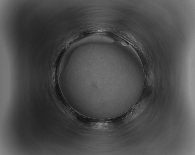 X0000097950366200803241158