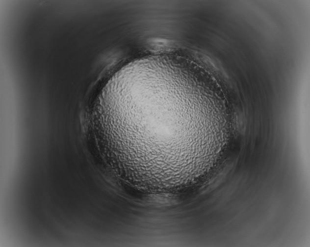X0000097950367200803241158