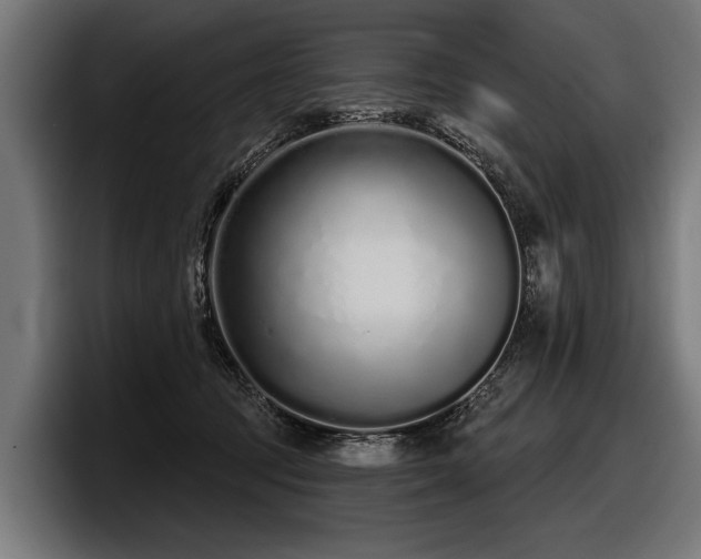 X0000097950369200803241158