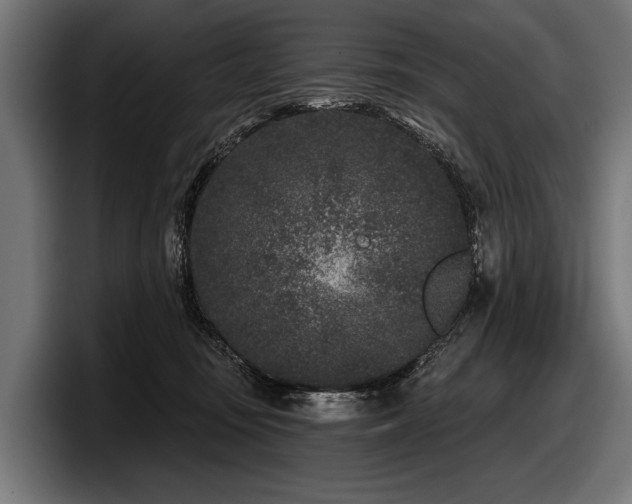 X0000097950371200803241158