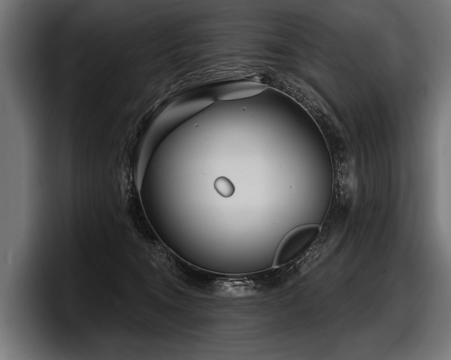 X0000097950372200803241158