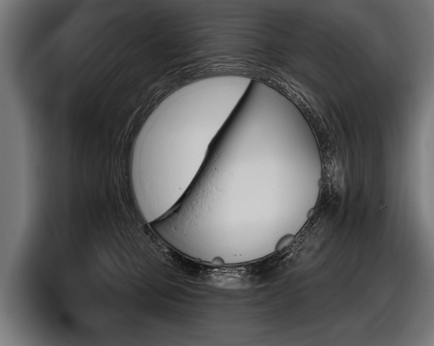X0000097950373200803241158
