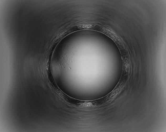 X0000097950374200803241158