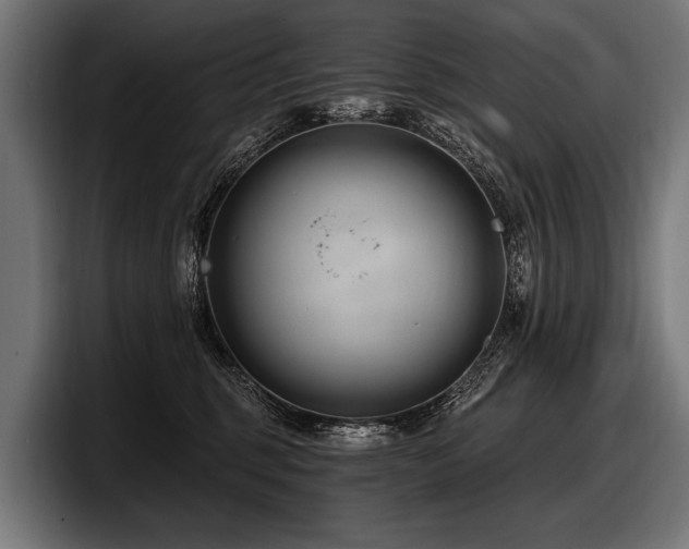 X0000097950375200803241158