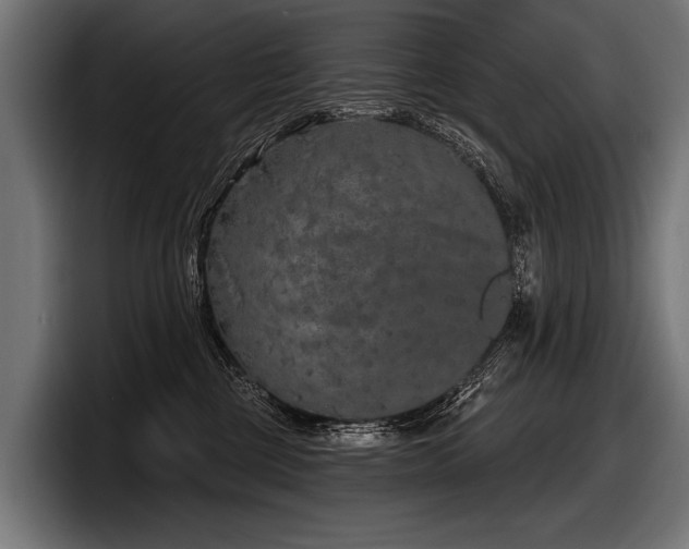 X0000097950377200803241158