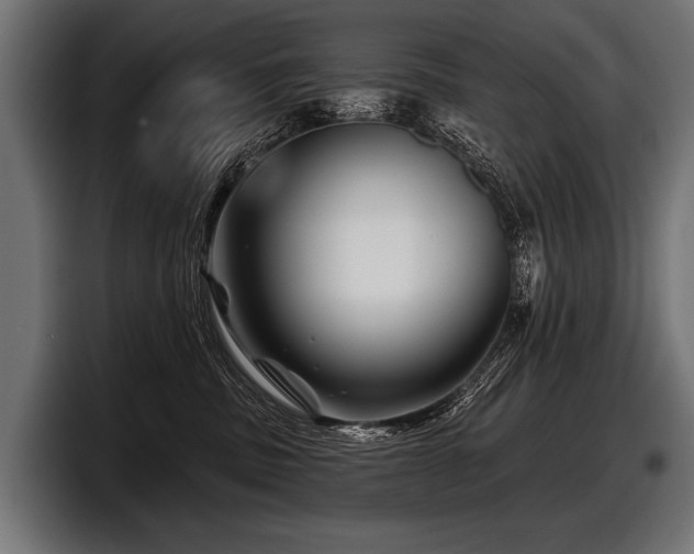 X0000097950379200803241158
