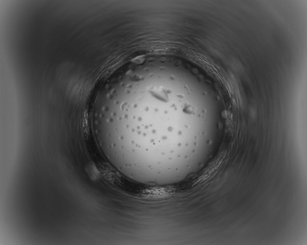 X0000097950381200803241158