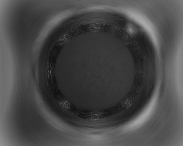 X0000097950382200803241158