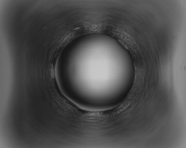 X0000097950384200803241158