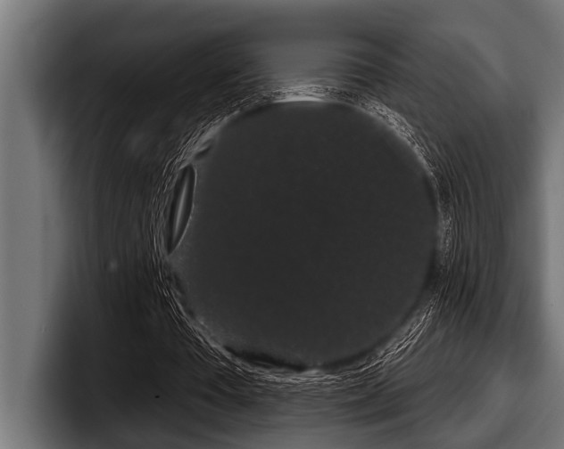 X0000097950385200803241158