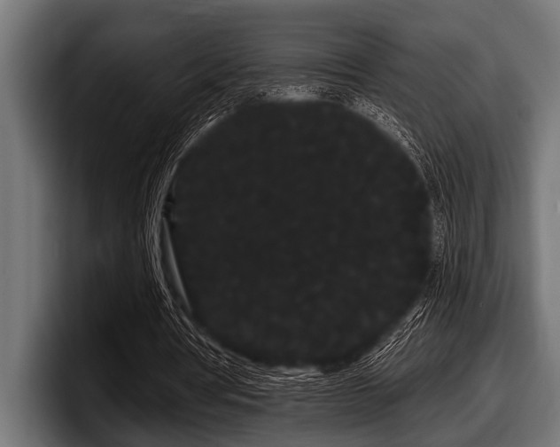 X0000097950386200803241158