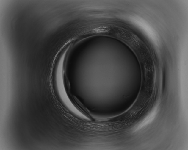 X0000097950387200803241158