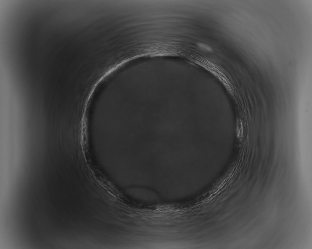 X0000097950388200803241158