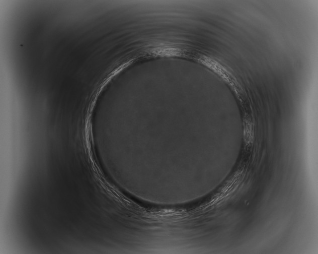 X0000097950390200803241158