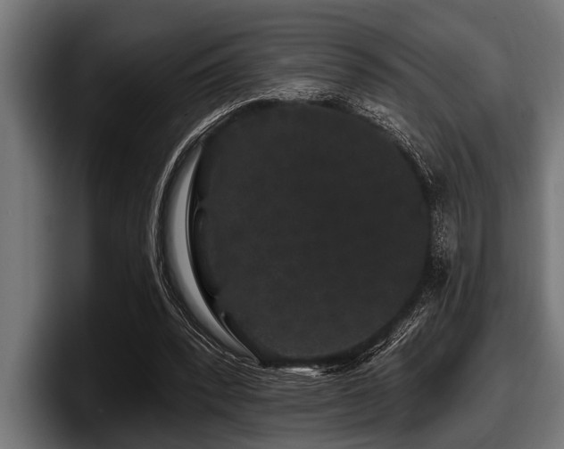 X0000097950392200803241158