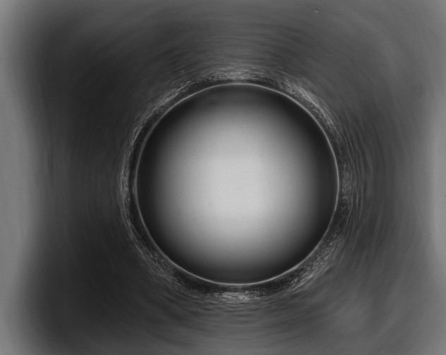 X0000097950394200803241158