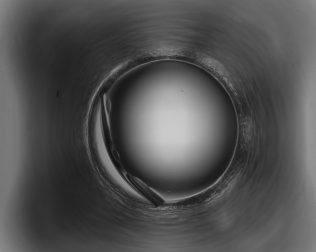 X0000097950395200803241158