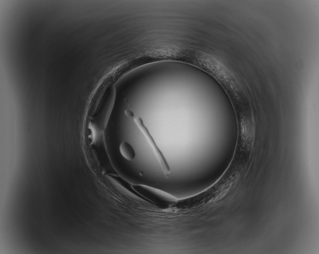 X0000097950396200803241157