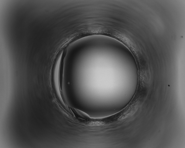 X0000097950397200803241157