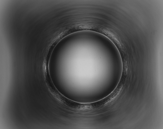 X0000097950398200803241157