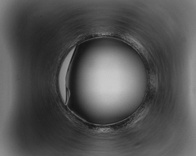 X0000097950401200803241157