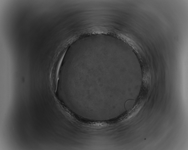 X0000097950402200803241157