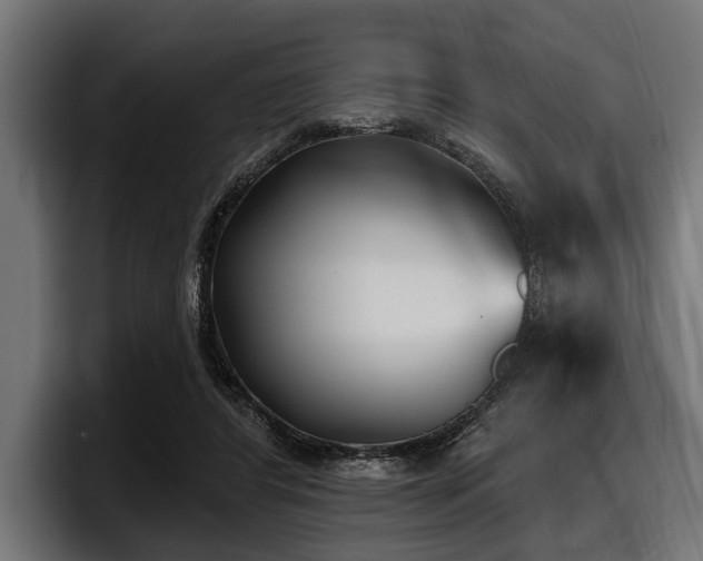 X0000097950404200803241157