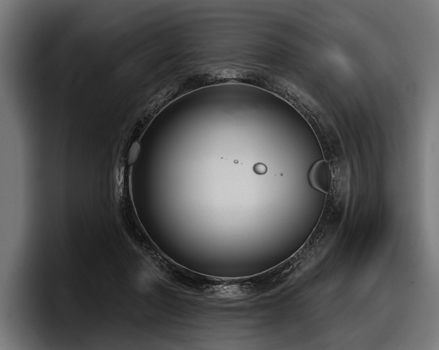 X0000097950406200803241157