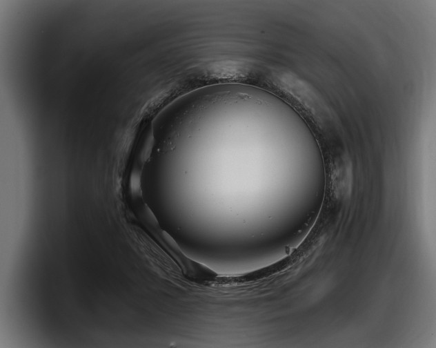 X0000097950407200803241157