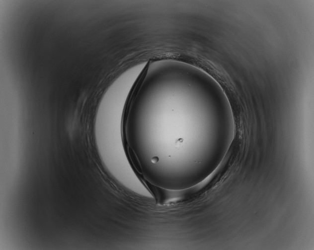 X0000097950409200803241157