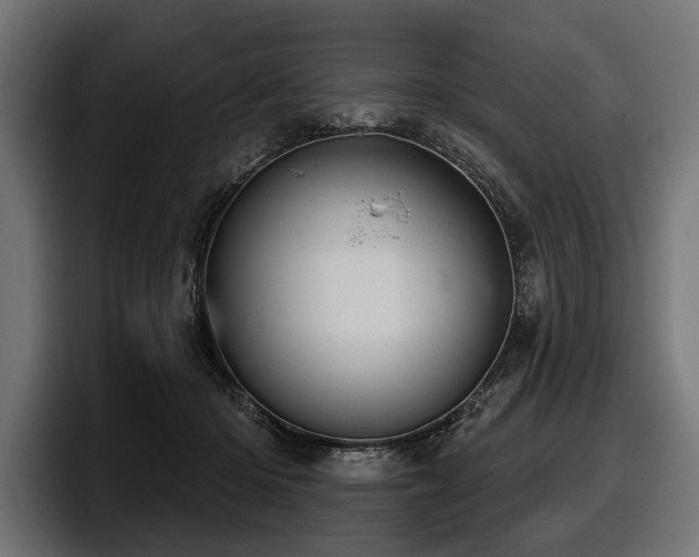X0000097950414200803241157