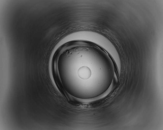 X0000097950415200803241157