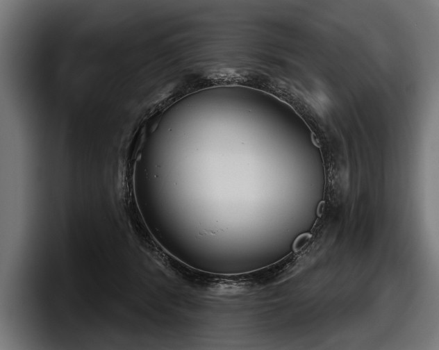 X0000097950416200803241157
