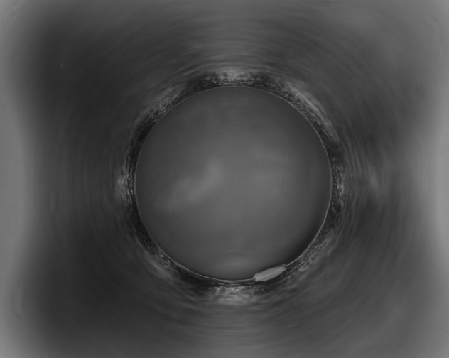 X0000097950419200803241157