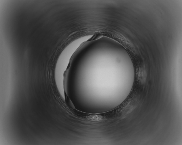 X0000097950421200803241157