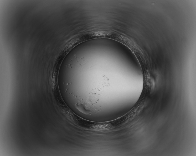 X0000097950422200803241157
