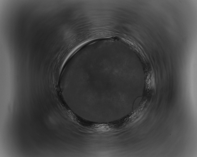 X0000097950424200803241157