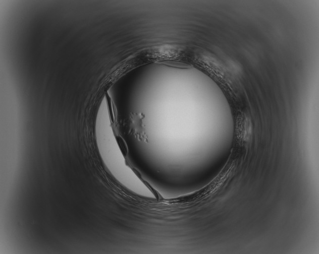 X0000097950425200803241157