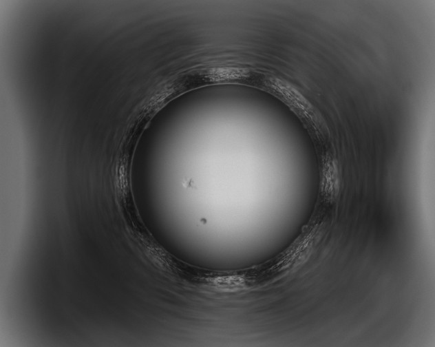 X0000097950426200803241157