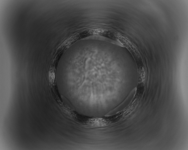 X0000097950427200803241157