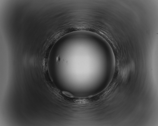 X0000097950428200803241157
