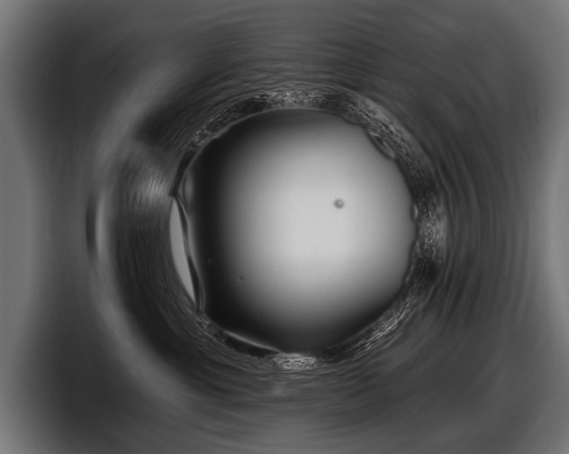 X0000097950429200803241157