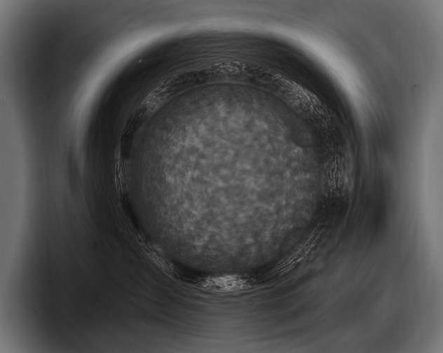 X0000097950431200803241157