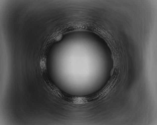 X0000097950432200803241157
