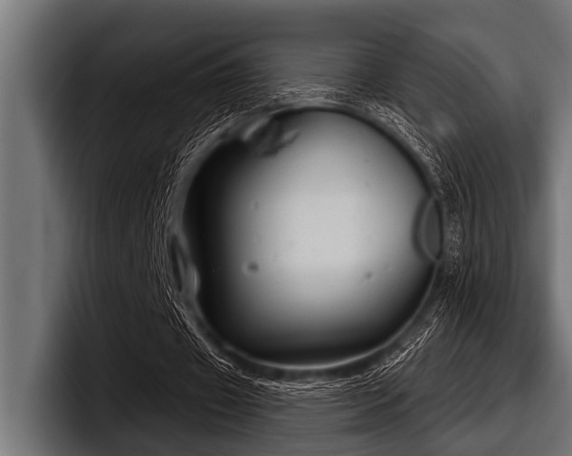 X0000097950433200803241156