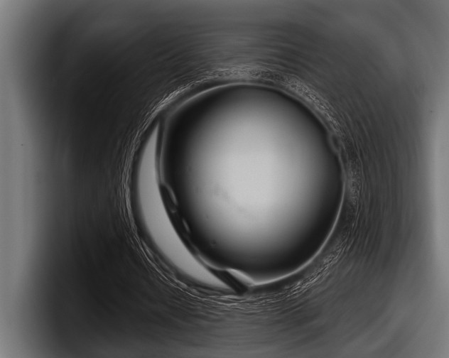 X0000097950434200803241156